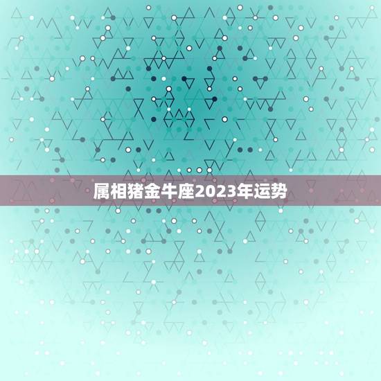 属相猪金牛座2023年运势，金牛座2023年运势