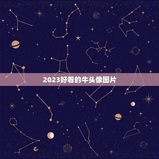 2023好看的牛头像图片，求图灯的冷彻头像图片更多更多图片