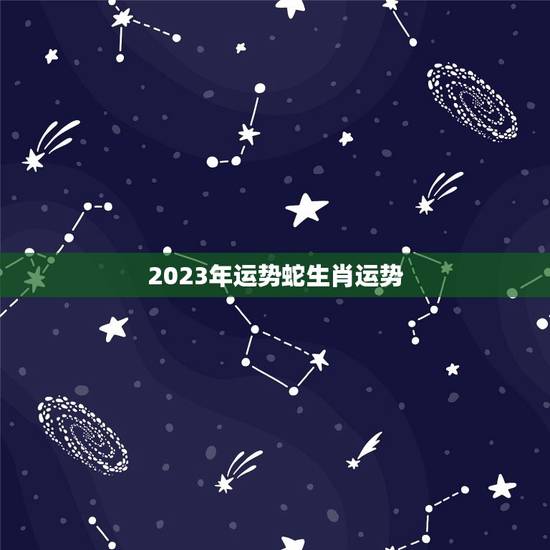2023年运势蛇生肖运势，麦玲玲属猪人2023年运势运程？
