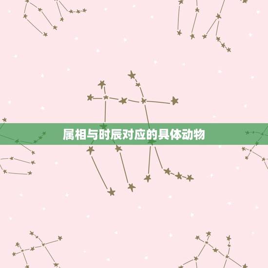 属相与时辰对应的具体动物，古代的时辰是怎样划分的？