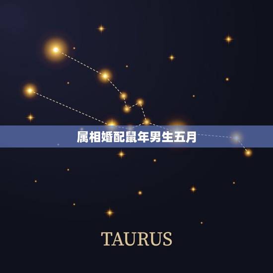 属相婚配鼠年男生五月，男属鼠的属相婚配表 属鼠男和什么属相最配