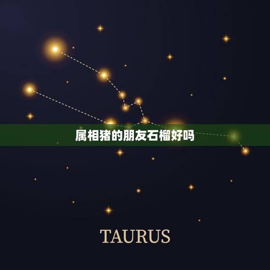 属相猪的朋友石榴好吗，属相是猪佩戴什么玉最合适