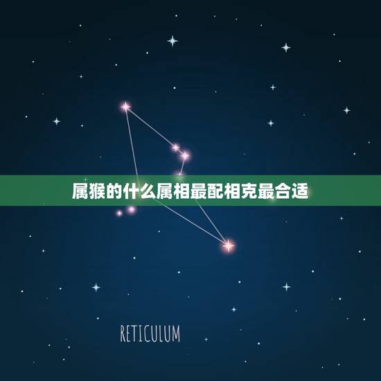 属猴的什么属相最配相克最合适(如何选择配对)