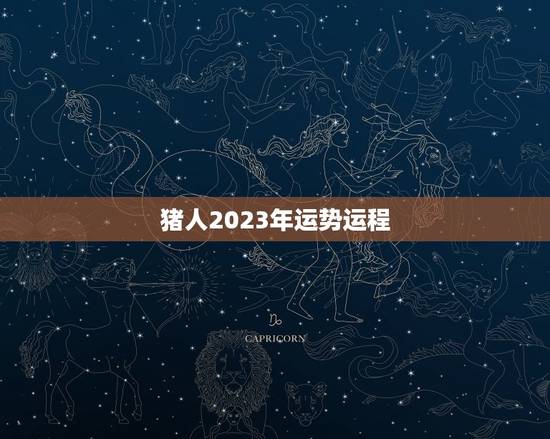 猪人2023年运势运程