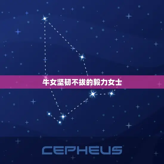 牛女坚韧不拔的毅力女士