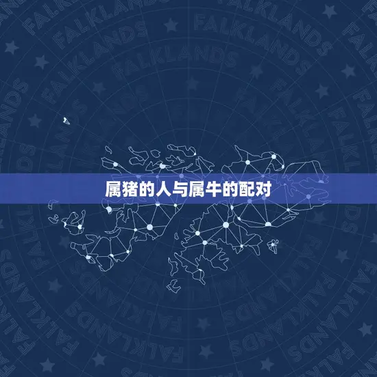 属猪的人与属牛的配对