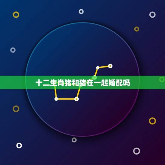 十二生肖猪和猪在一起婚配吗，12生肖配对表