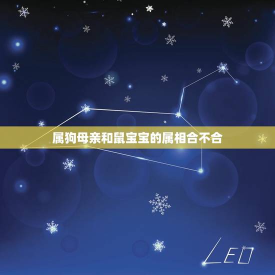 属狗母亲和鼠宝宝的属相合不合，属狗爸和禹属鼠妈生个正月的猪宝宝吗？