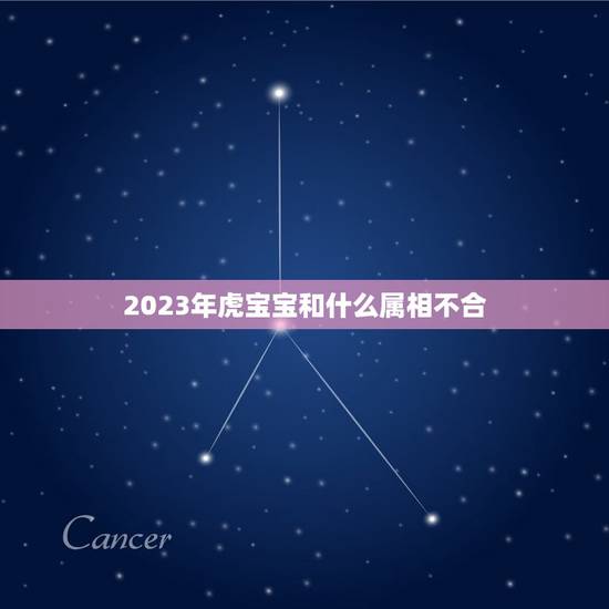 2023年虎宝宝和什么属相不合，虎宝宝忌什么属相父母