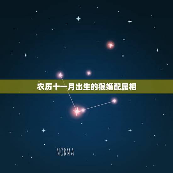 农历十一月出生的猴婚配属相，属猴的属相婚配表