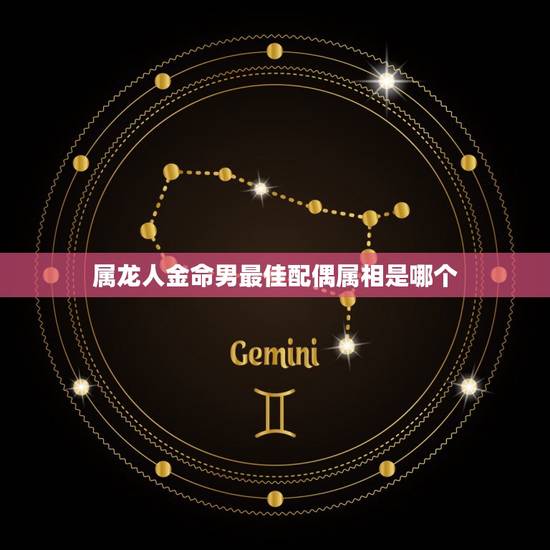 属龙人金命男最佳配偶属相是哪个，属龙人的婚姻配对最合适的哪个生肖