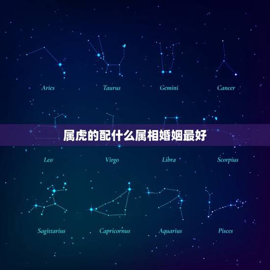 属虎的配什么属相婚姻最好，属虎婚姻如何选择，那一属相最好