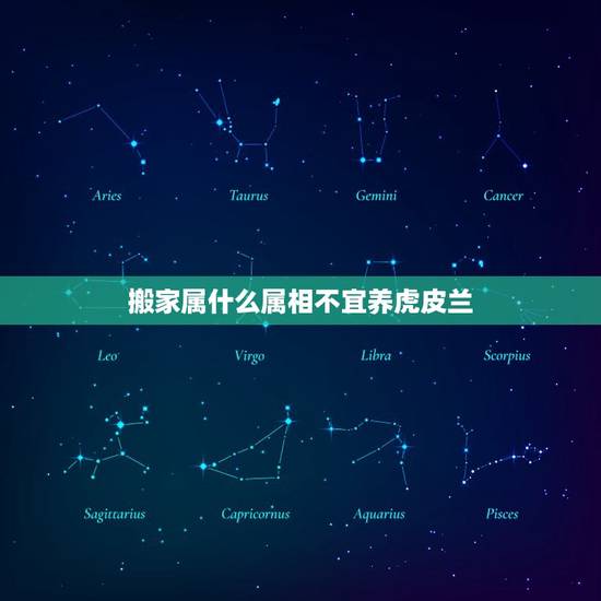 搬家属什么属相不宜养虎皮兰，哪些人不宜养虎皮兰 才听说家有男孩不宜养，