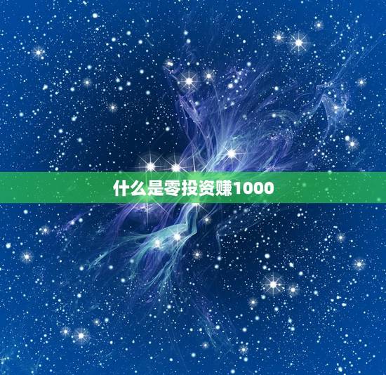 什么是零投资赚1000