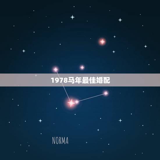 1978马年最佳婚配，1978年属马的和属什么的最相配？