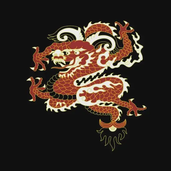 生肖龙今日开运指南