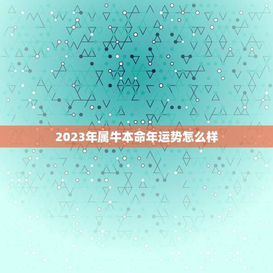 2023年属牛本命年运势怎么样，2023年本命年运势如何