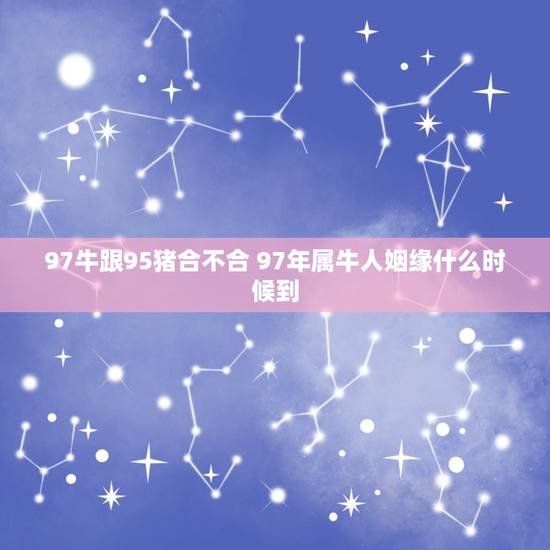97牛跟95猪合不合 97年属牛人姻缘什么时候到