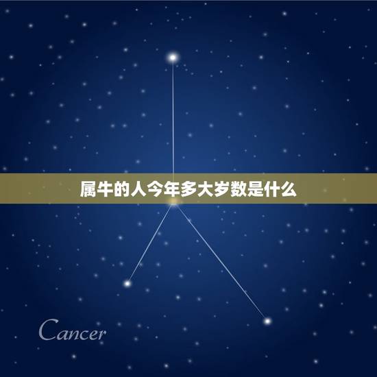 属牛的人今年多大岁数是什么，属牛今年多大
