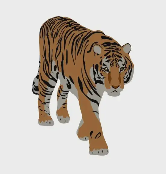 生肖虎今日运势