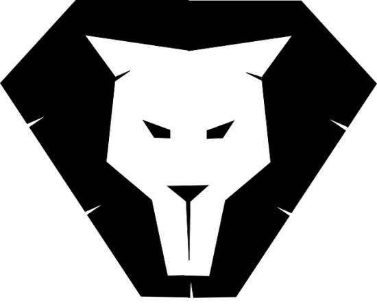 狮子座和什么座最配对男孩(星座配对大揭秘)