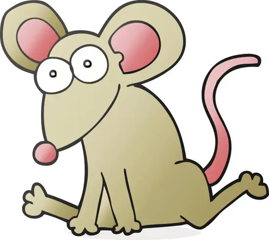 男孩属鼠的配偶最佳属相(如何选择)