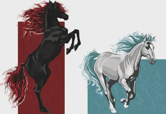 属马健康运势分析