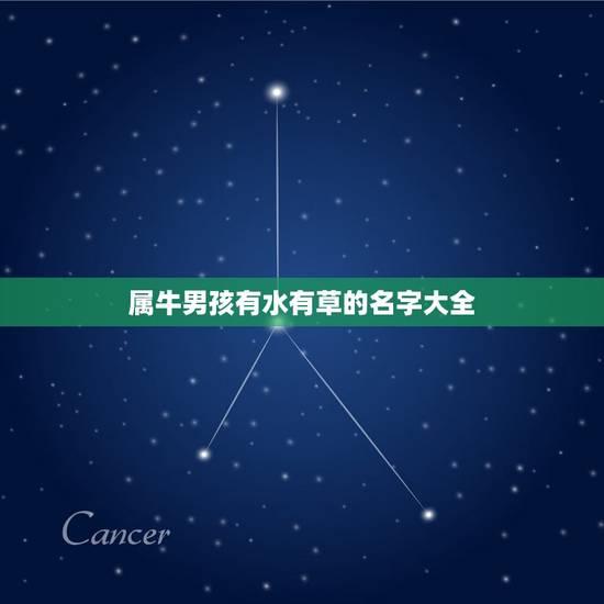 属牛男孩有水有草的名字大全，属牛的男孩叫什么名字好听