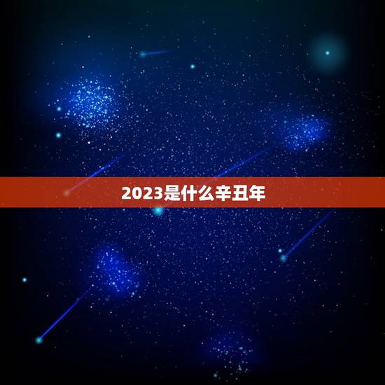 2023是什么辛丑年