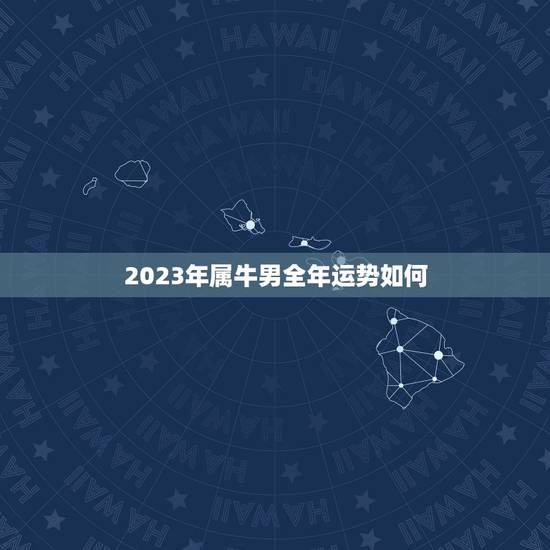 2023年属牛男全年运势如何，我属牛2023年又是牛年那2023年的冬