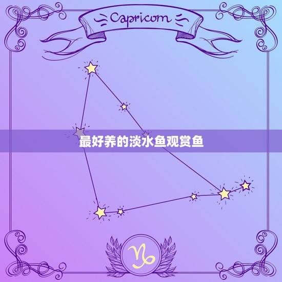 最好养的淡水鱼观赏鱼，家里养什么鱼最好