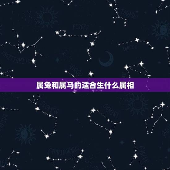 属兔和属马的适合生什么属相，属兔的和属马的羊年适合做什么生意？