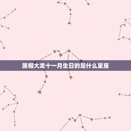 属相大龙十一月生日的是什么星座，属大龙的是什么星座
