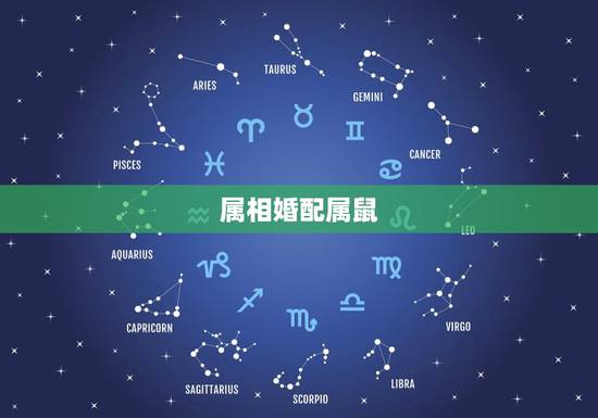 属相婚配属鼠，生肖鼠跟什么最配，属鼠的属相婚配表