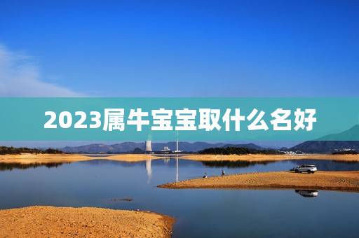 2023属牛宝宝取什么名好，2023年牛宝宝取什么名字好