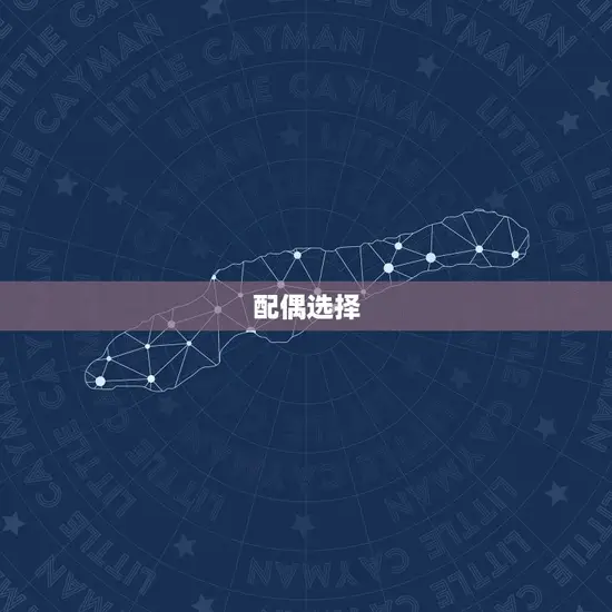 配偶选择 配偶选择