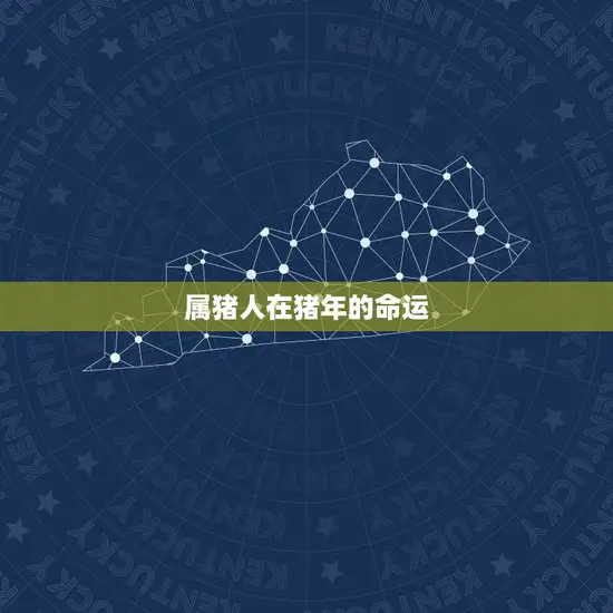 属猪人在猪年的命运