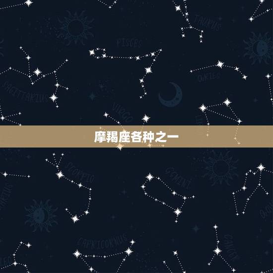 摩羯座各种之一，摩羯座今日运势查询