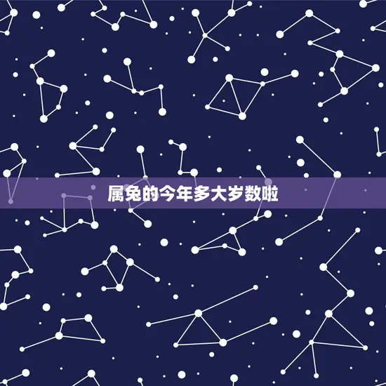 属兔的今年多大岁数啦