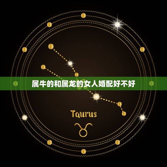 属牛的和属龙的女人婚配好不好，属牛的配属龙的好不好