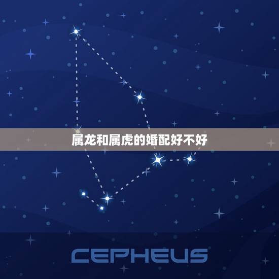 属龙和属虎的婚配好不好，属龙和属虎会成为朋友吗