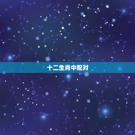 十二生肖中配对 十二生肖中配对