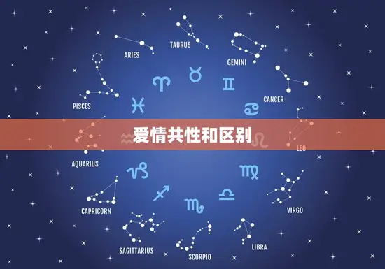 爱情共性和区别