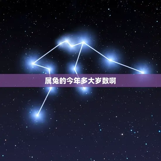 属兔的今年多大岁数啊 属兔的今年多大岁数啊