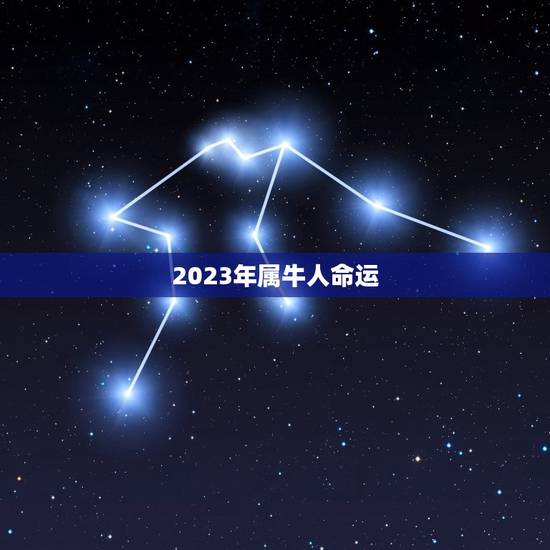 2023年属牛人命运 2023年属牛人感情运势