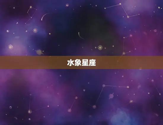 水象星座 水象星座