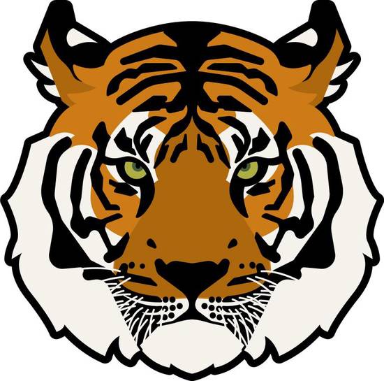 生肖虎女财运解析