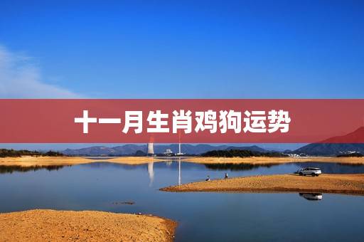 十一月生肖鸡狗运势，生肖鸡狗婚姻2023运势
