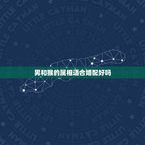 男和猴的属相适合婚配好吗，男属猴是和什么属相最合适？
