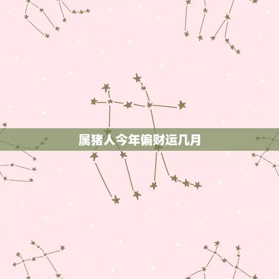 属猪人今年偏财运几月